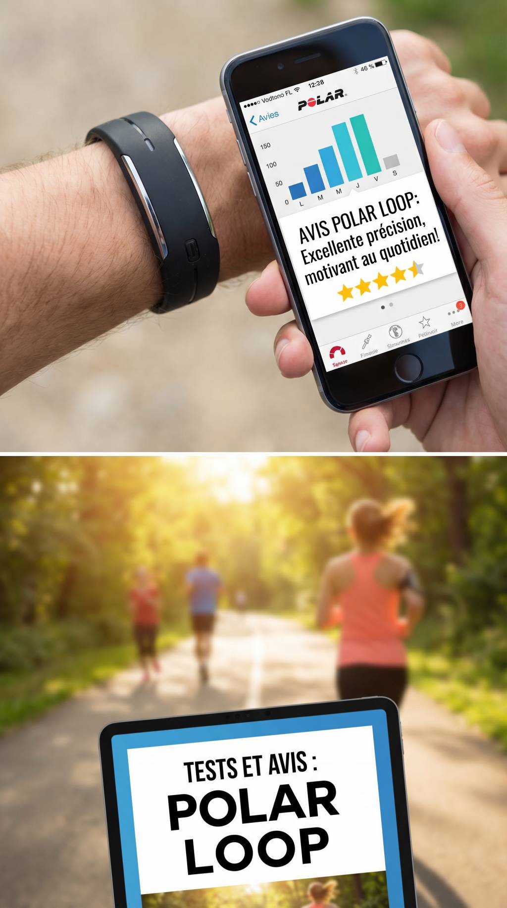 Avis Polar Loop