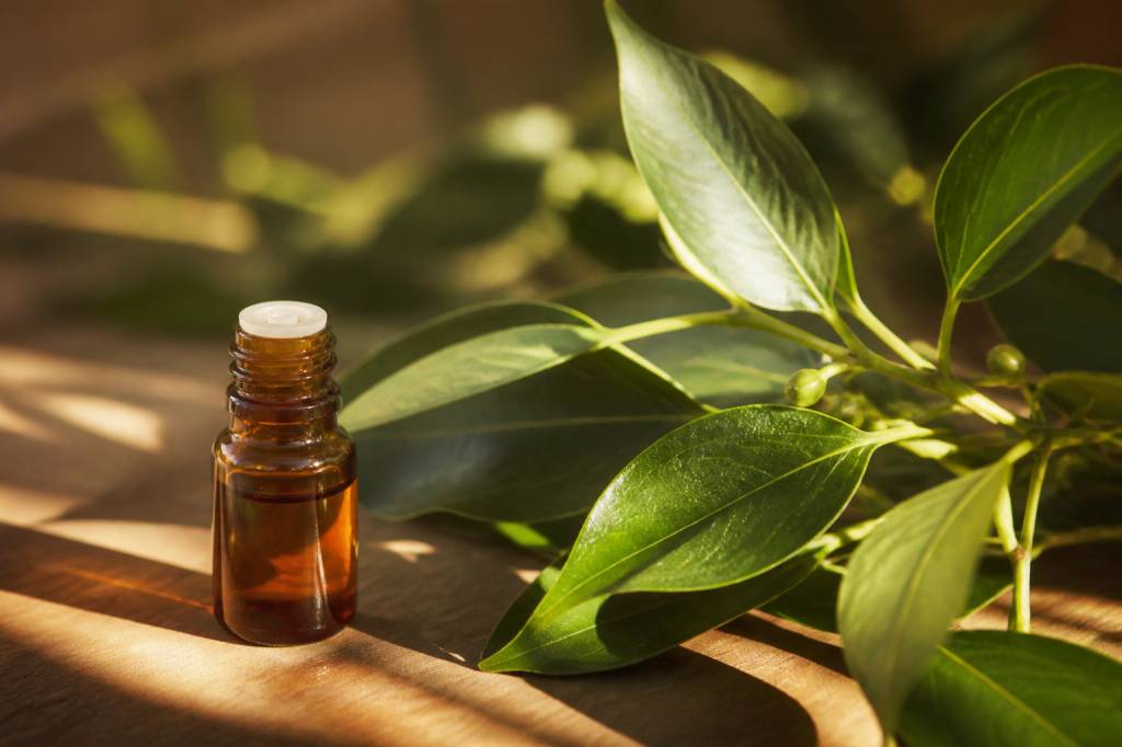 À quoi sert l’huile essentielle de ravintsara